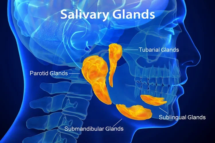 What Is Adenoid Cystic Carcinoma?